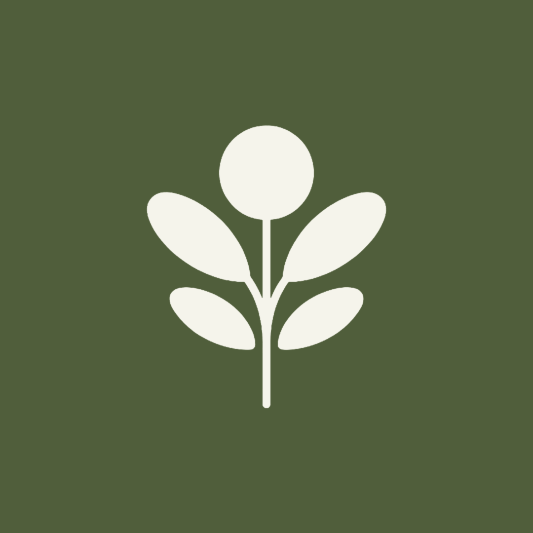 Logo ZAYTNA